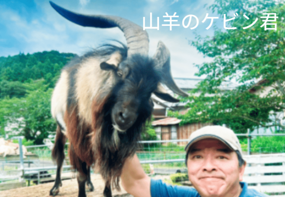榛葉氏と山羊のケビン君