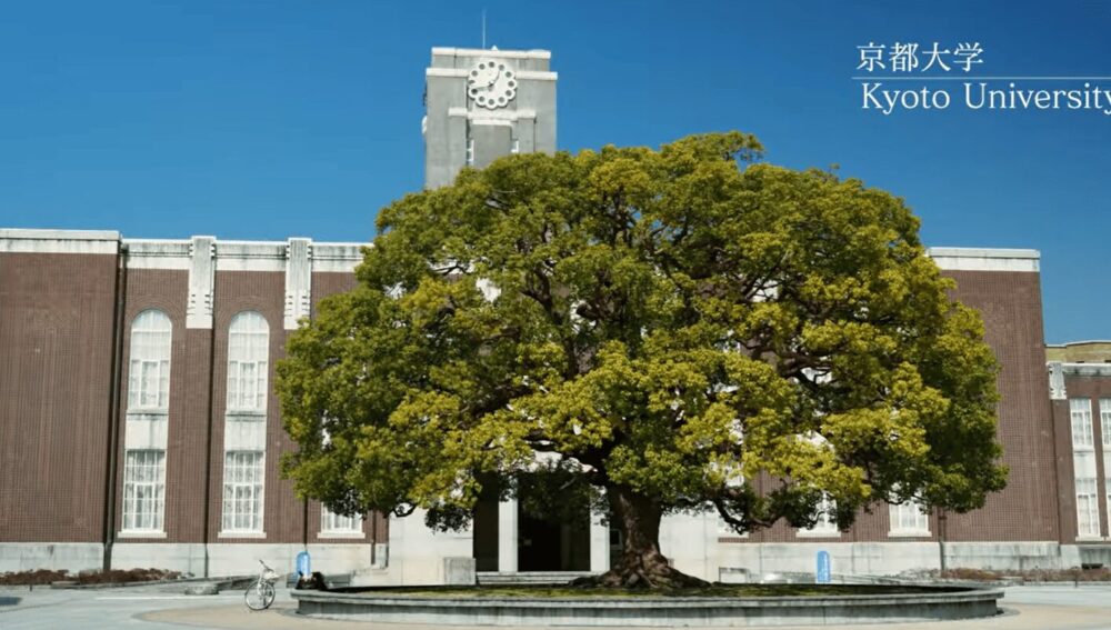 京都大学
