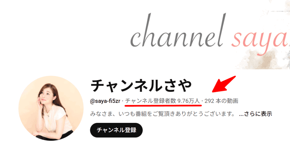 チャンネルさや