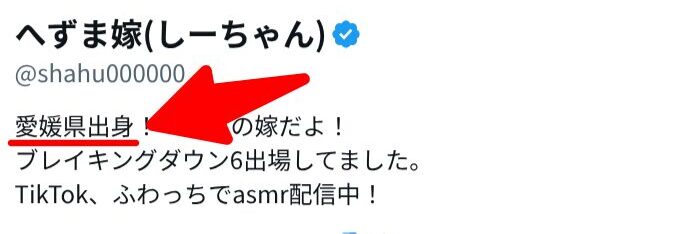 へずまりゅうの嫁 Xアカウント