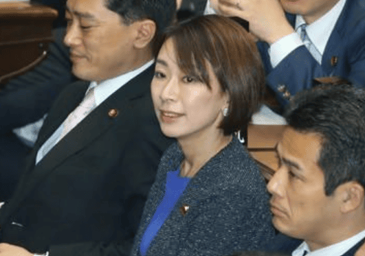 山尾志桜里 2016年4月衆院本会議