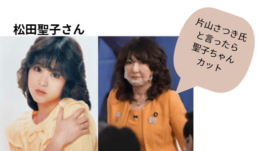 片山さつきの聖子ちゃんカット