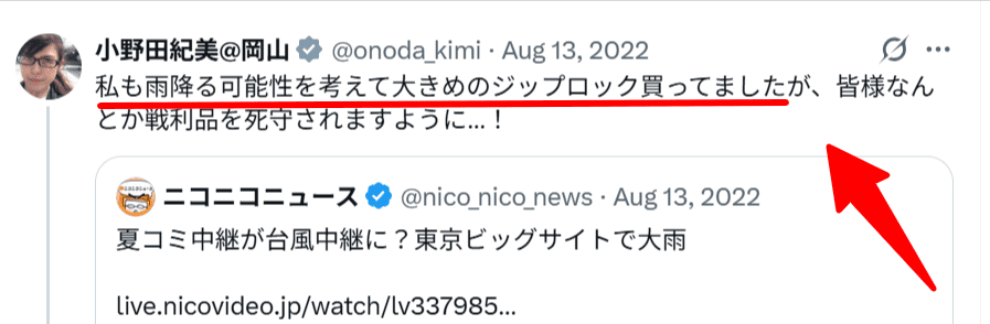 小野田紀美コミケ