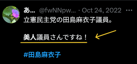 田島麻衣子　X投稿