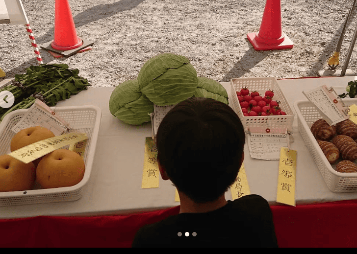松本洋平　投稿