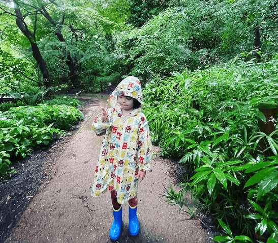 自然を楽しむニコ君